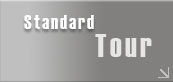 Standard Tour