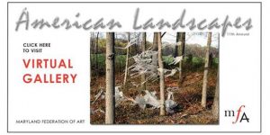 american landscapes MFA cot-2011