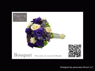 tierra virtual tour 3